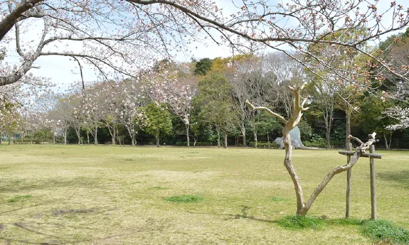 八千代台近隣公園 3
