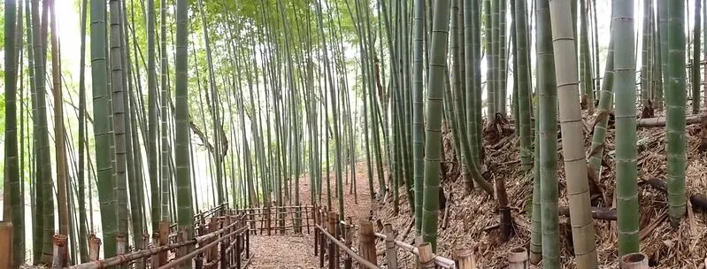 北八朔公園