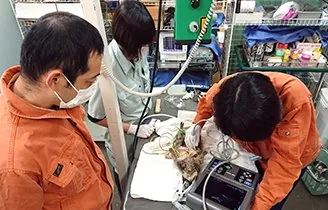 盛岡市動物公園ZOOMO 3