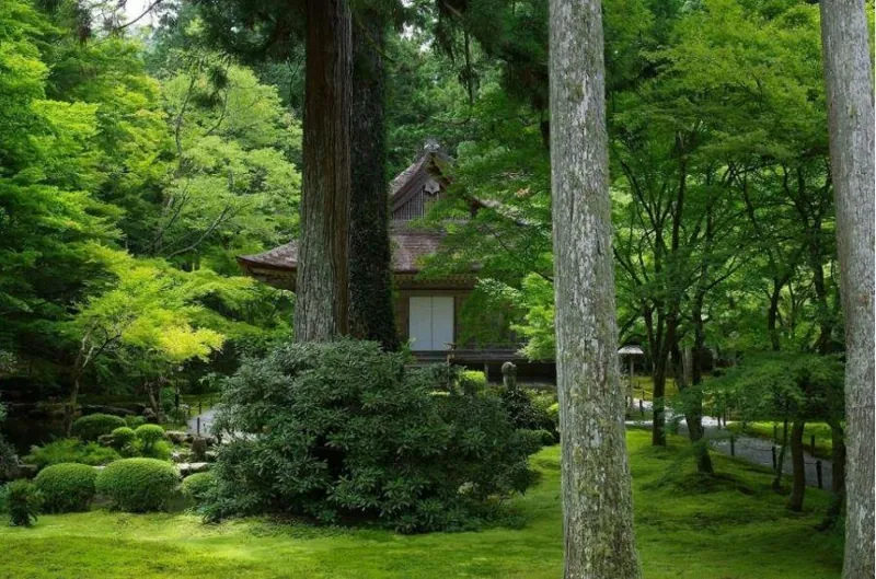 三千院 2