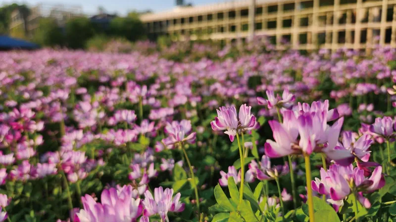 けいはんな記念公園 2