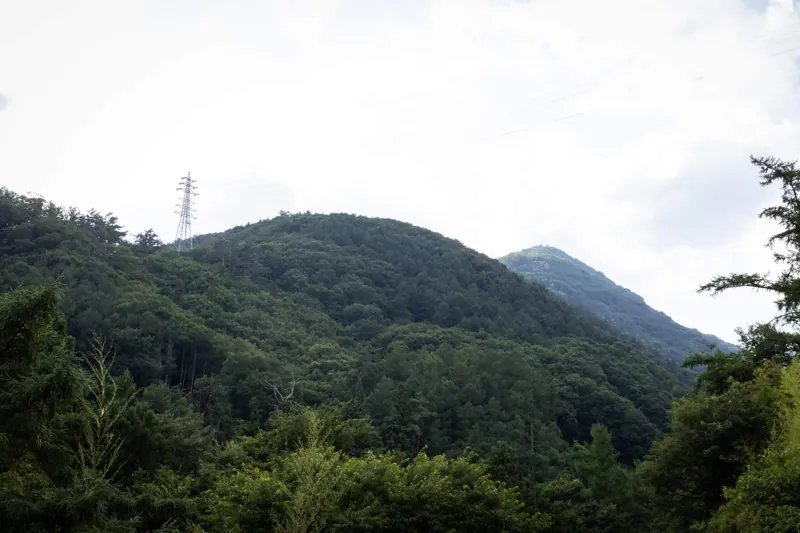 太郎山