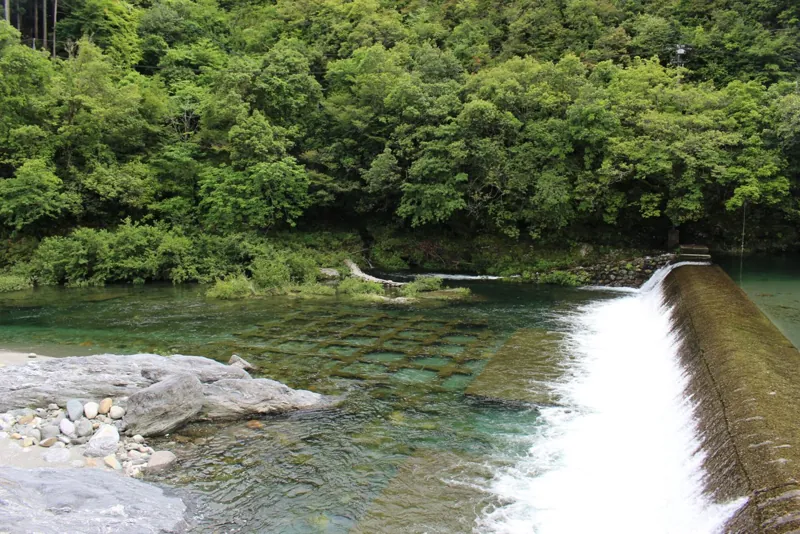 汗見川遊泳場 1