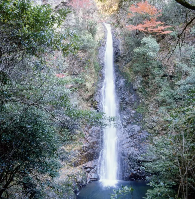 龍頭の滝(山野峡)