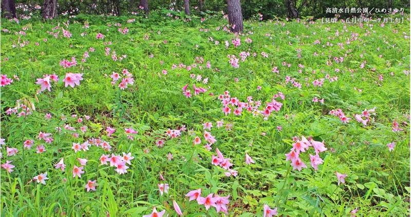 南会津町高清水自然公園 2