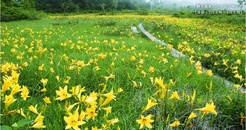 南会津町高清水自然公園 3