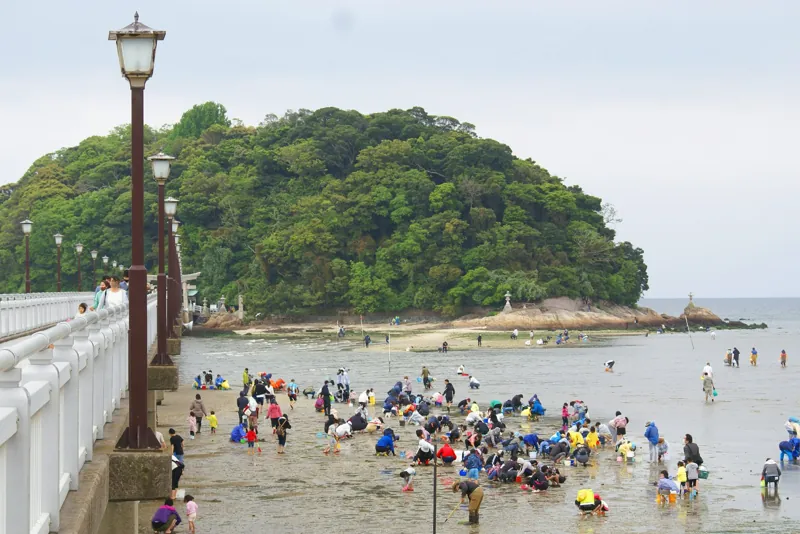 竹島海岸 潮干狩り