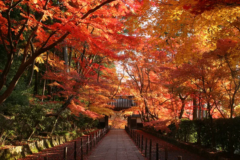 光明寺