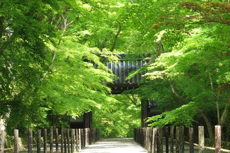 光明寺 2