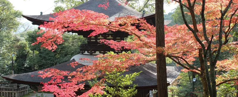 石山寺 2