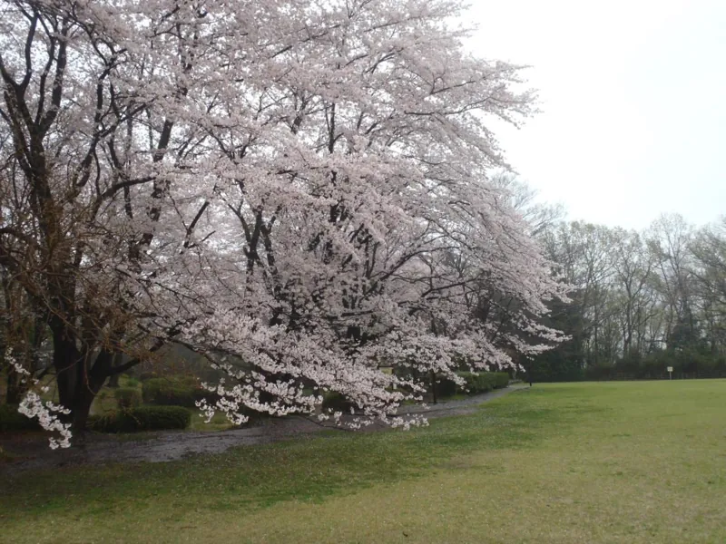 片倉城跡公園