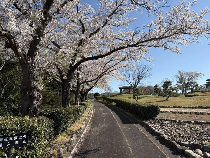湖陵総合公園 3