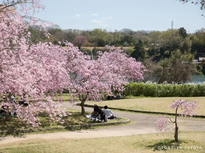 水源公園 3