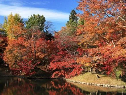 用作公園