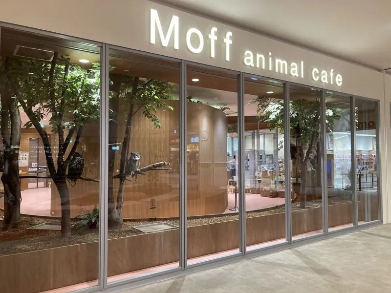 Moff animal cafe ららぽーと愛知東郷店