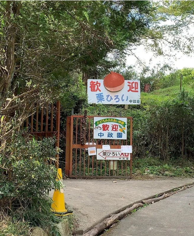 中政園