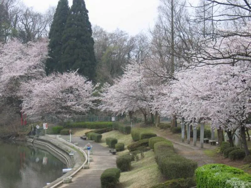 薬勝寺池公園