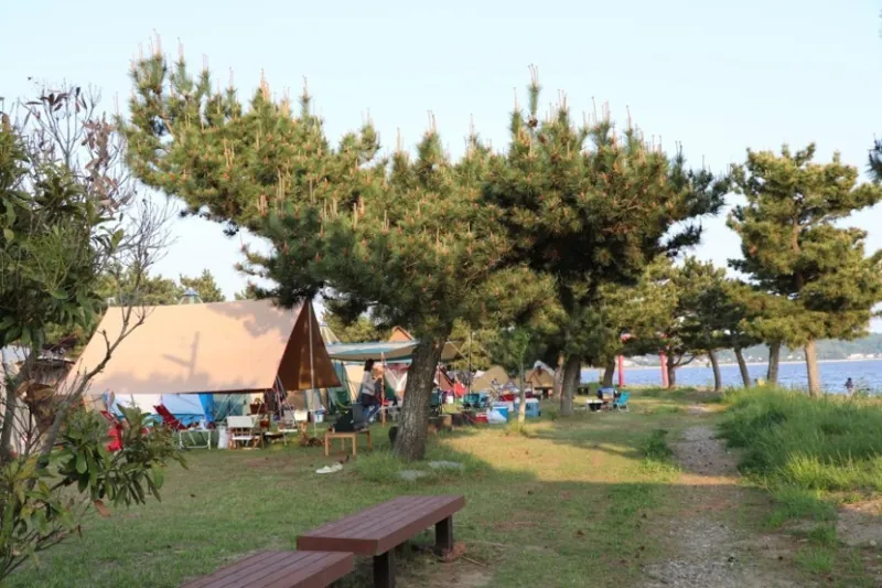広浦公園キャンプ場
