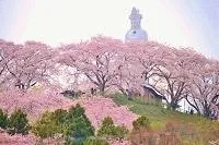 船岡城址公園 2