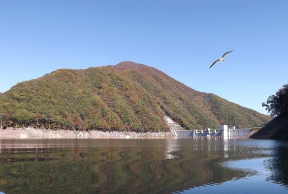 湯西川ダックツアー 2