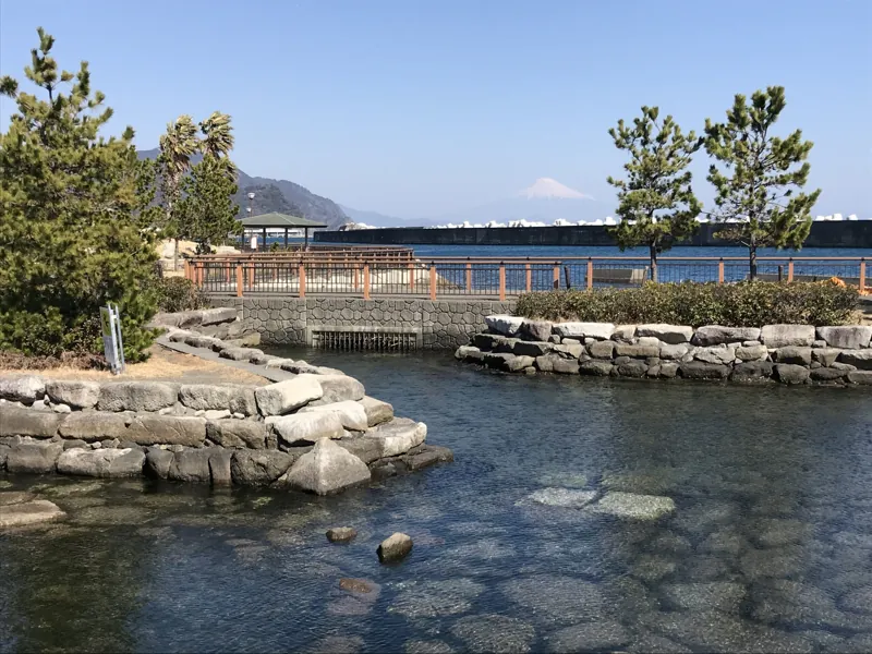 焼津漁港親水広場ふぃしゅーな