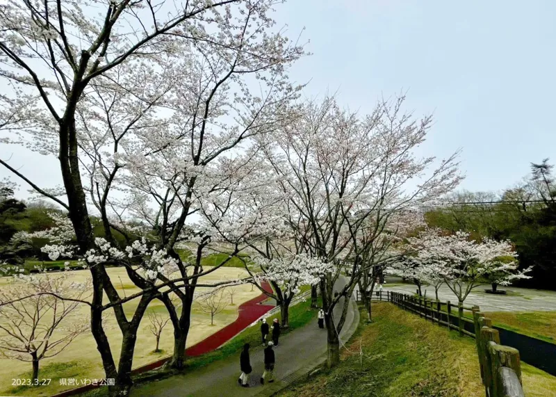 福島県営いわき公園