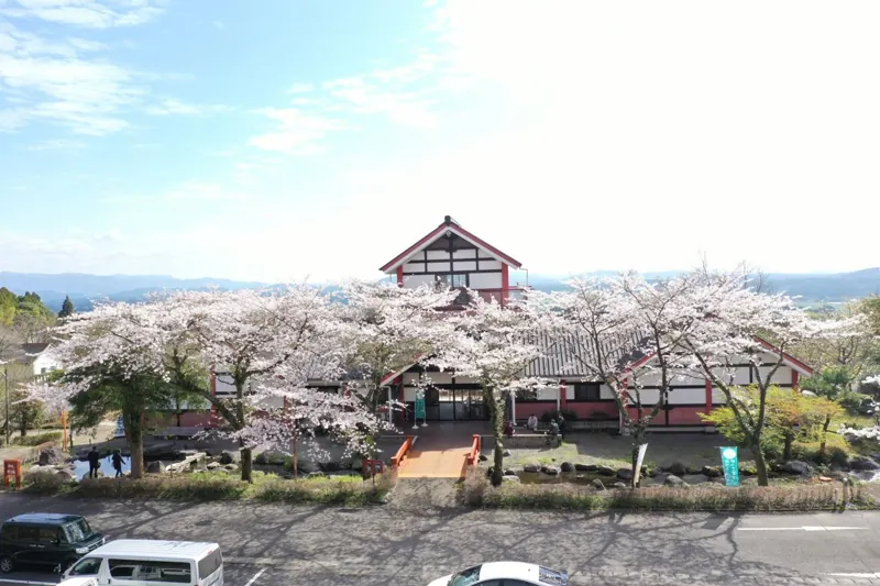 奥霧島 皇子原公園キャンプ場 3