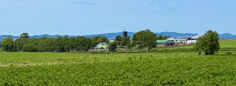 北海道箱根牧場 2