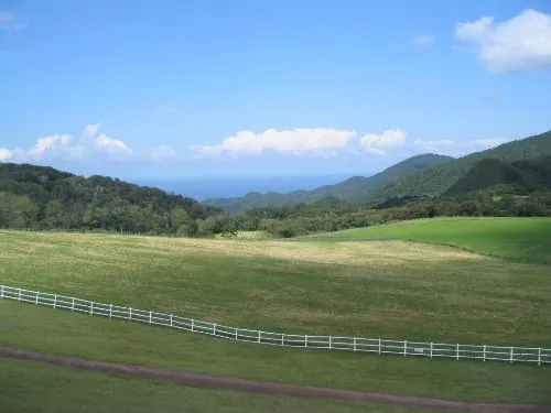 碇高原牧場 2