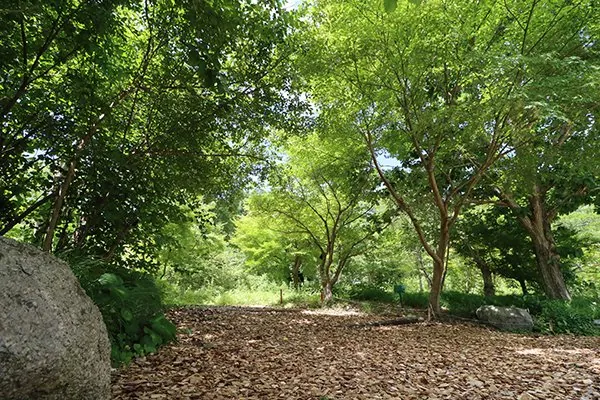 ふるさと尺の内公園 3