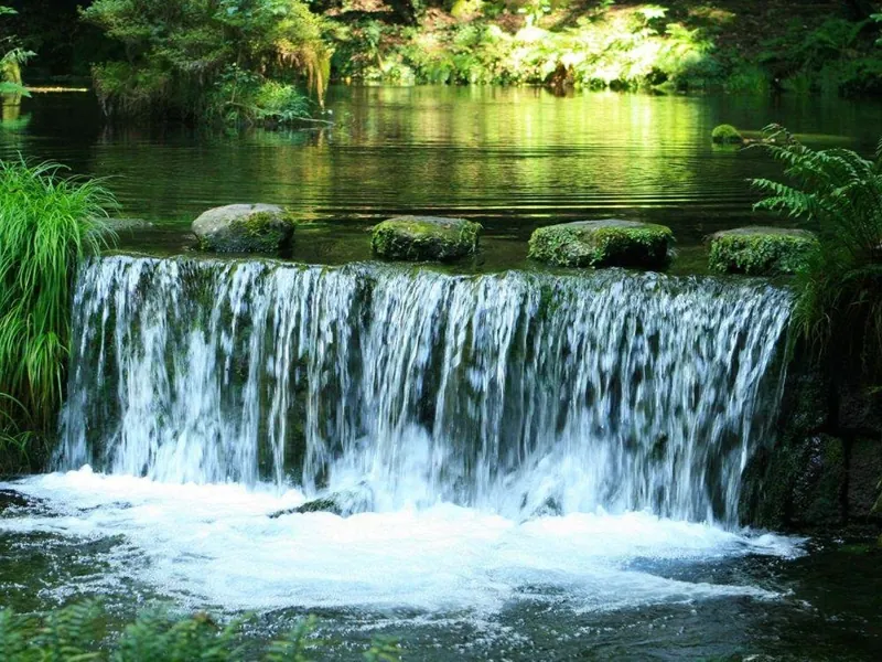 池山水源 2