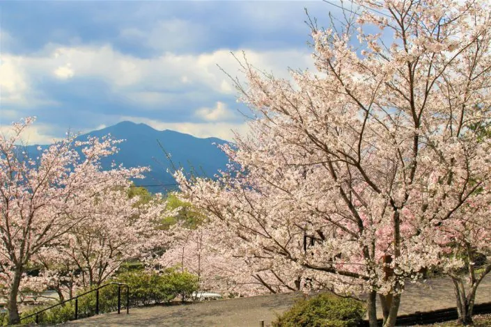 土柱そよ風広場