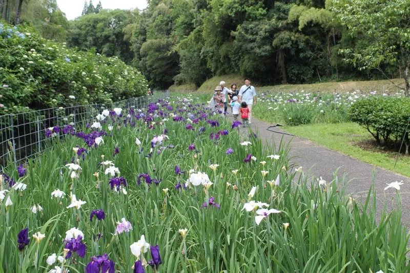 天子の水公園 2