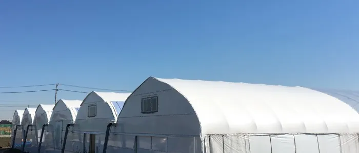 マンモスいちご園