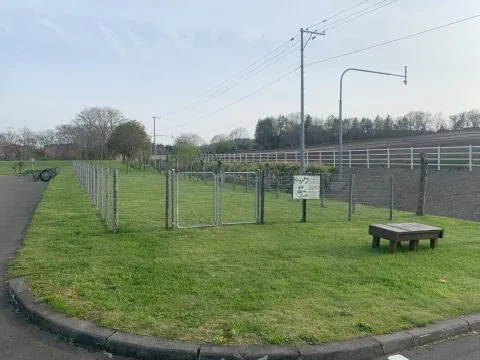 古山貯水池自然公園オートキャンプ場 3