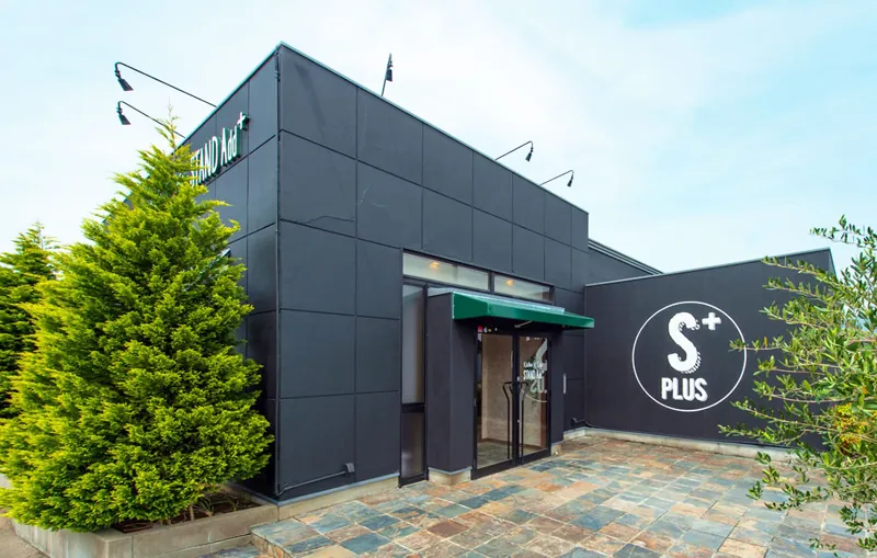 スタンダードプラス