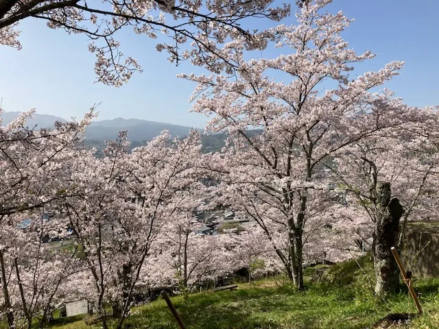 高野口公園 3