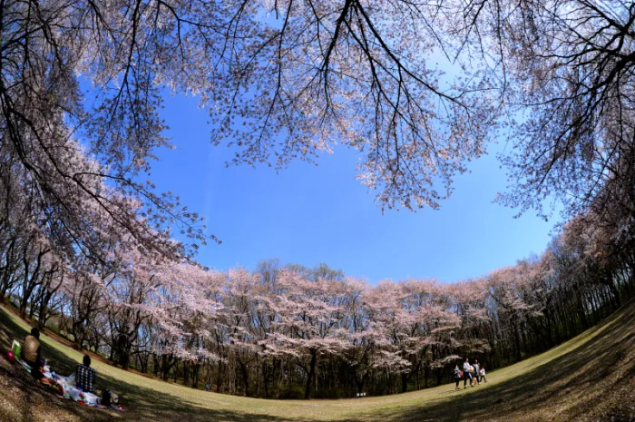 岩鼻運動公園