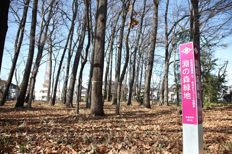 淵の森緑地