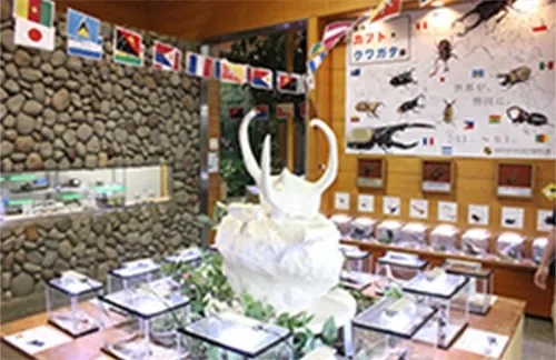 磐田市竜洋昆虫自然観察公園 3