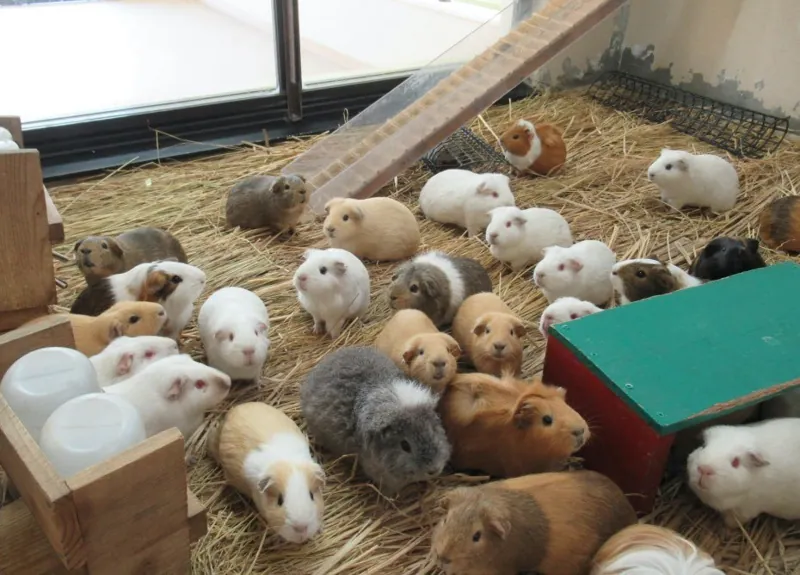 京都市動物園 3