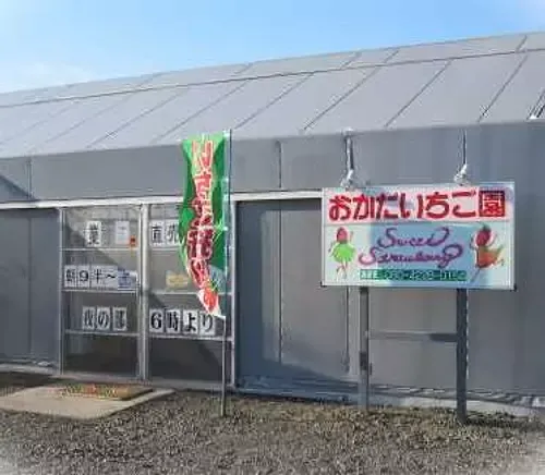 おかだいちご園 2