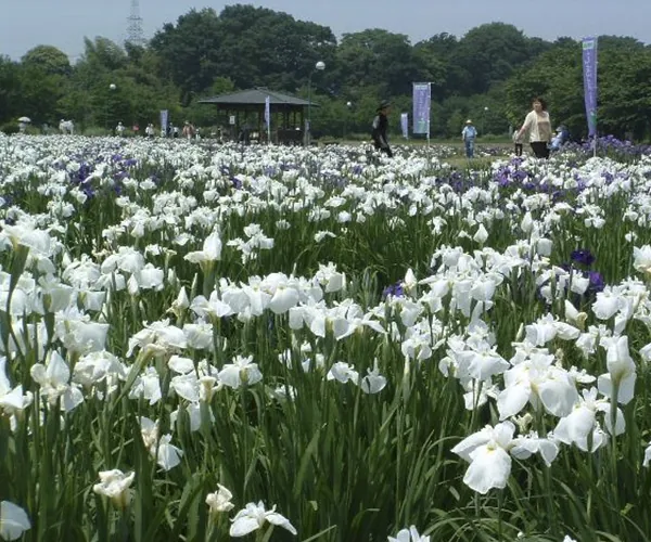 別府沼公園