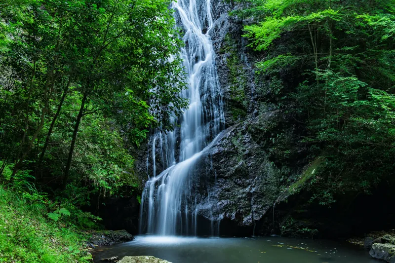 琴滝