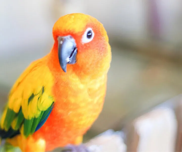 Moff animal cafe イオンモール名取店 2