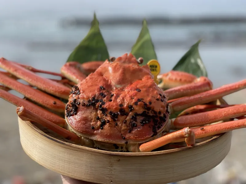 魚屋の喰い処 まつ田 1