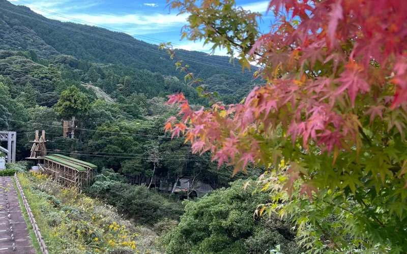 フォレストアドベンチャー・油山福岡