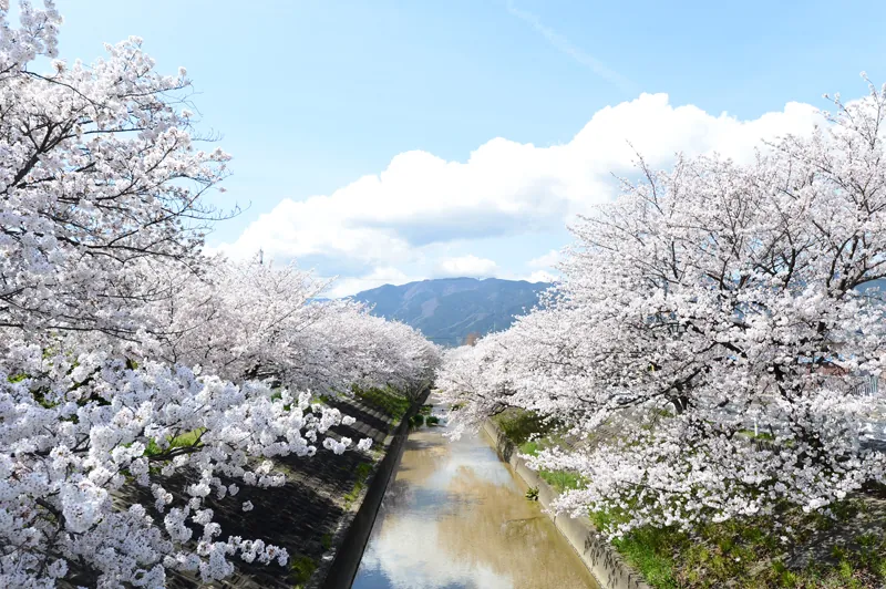 大中公園