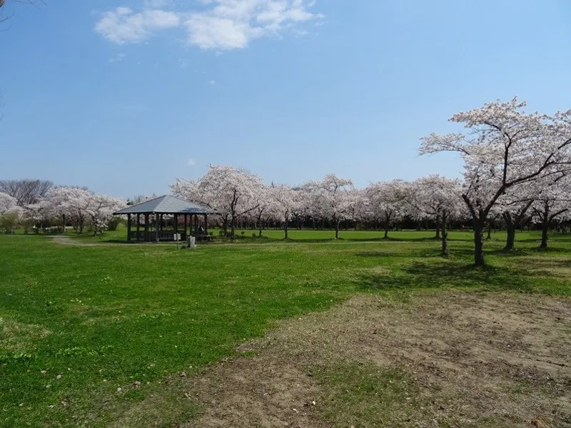 菊ヶ丘運動公園 3