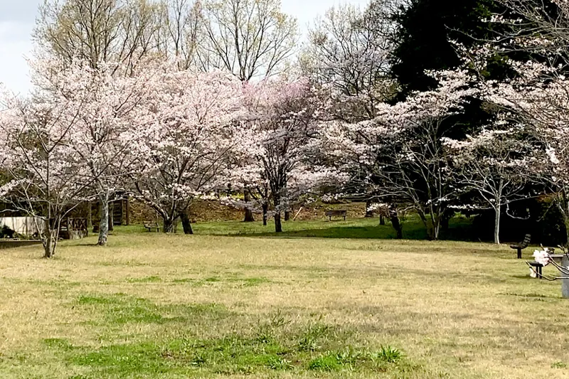 野岳湖公園 3
